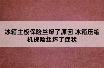 冰箱主板保险丝爆了原因 冰箱压缩机保险丝坏了症状